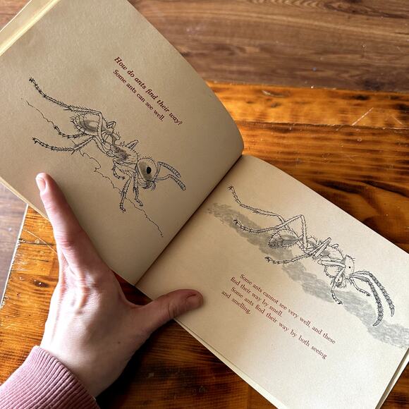 Vintage 1967 Questions And Answers About Ants Paperback Book - Picture 7 of 9